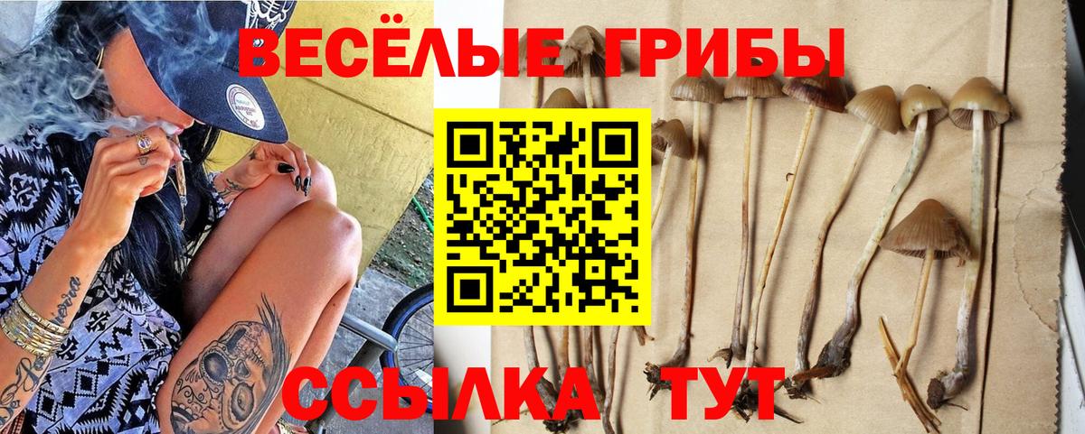 Галлюциногенные грибы Magic Shrooms  Псилоцибиновые грибы Magic Shrooms  Вход с VPN  Ростов Великий 